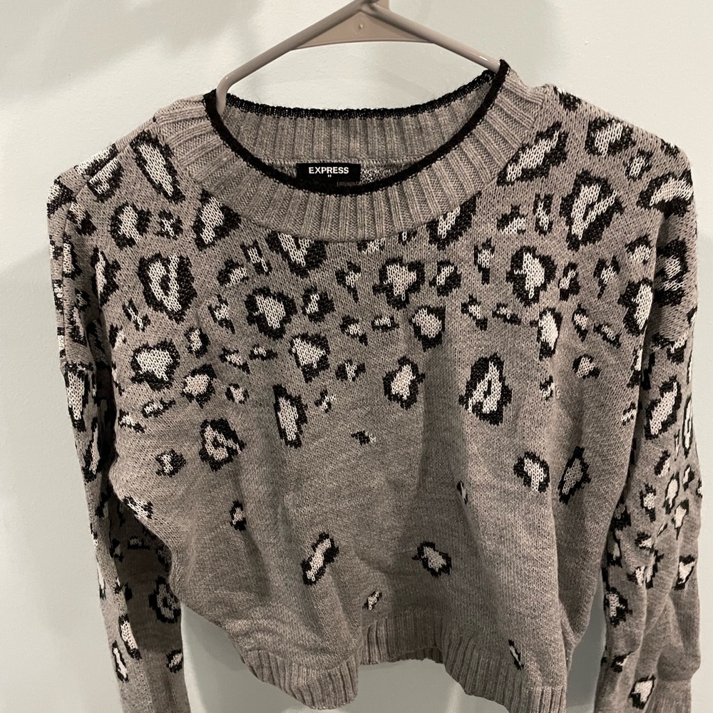 Express cheetah print sweater